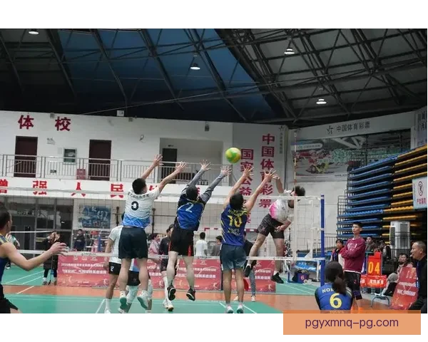 全新赛季启幕,燃情排球竞技盛宴再度开启 全新赛季启幕,燃情排球竞技盛宴再度开启