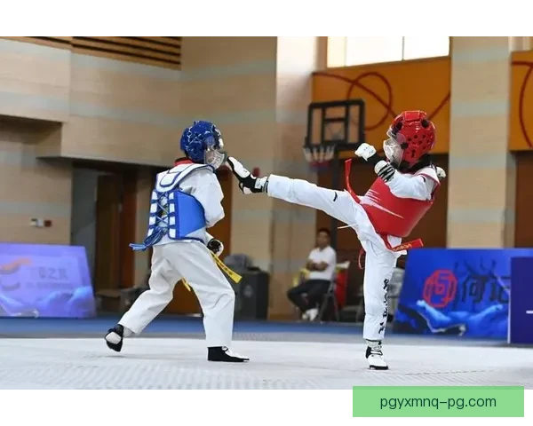 全球顶尖的跆拳道公开赛盛宴:超越极限,展现风采 全球顶尖的跆拳道公开赛盛宴:超越极限,展现风采