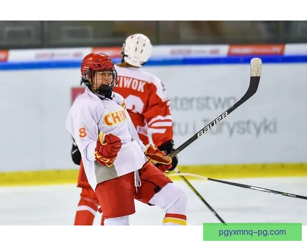 冰球锦标赛：璀璨世界冰球风云，史无前例的冠军之争