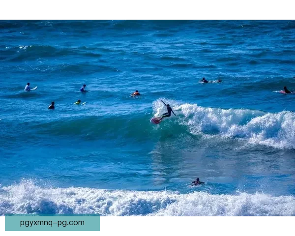 冲浪新手必知：海浪规则、安全常识与技巧分享