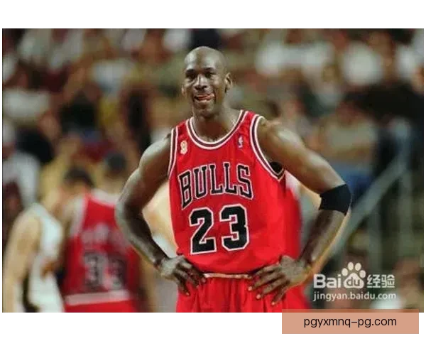 学习铁人三项:全方位训练视频指南 学习铁人三项:全方位训练视频指南