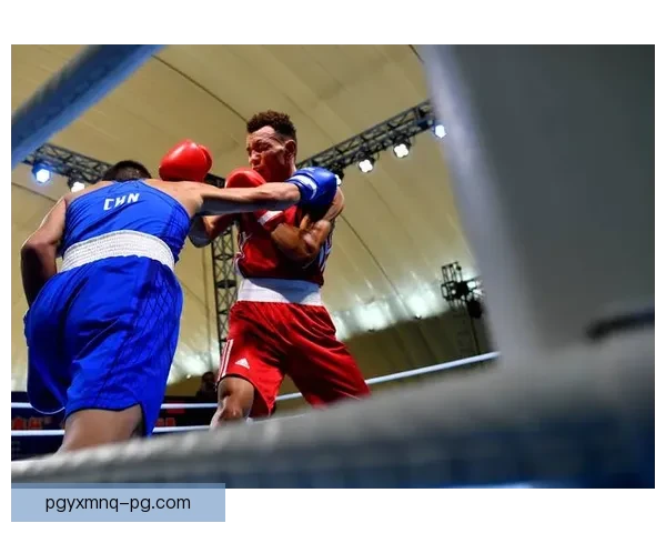 拳击顶级对决：冠军争霸赛火爆开启