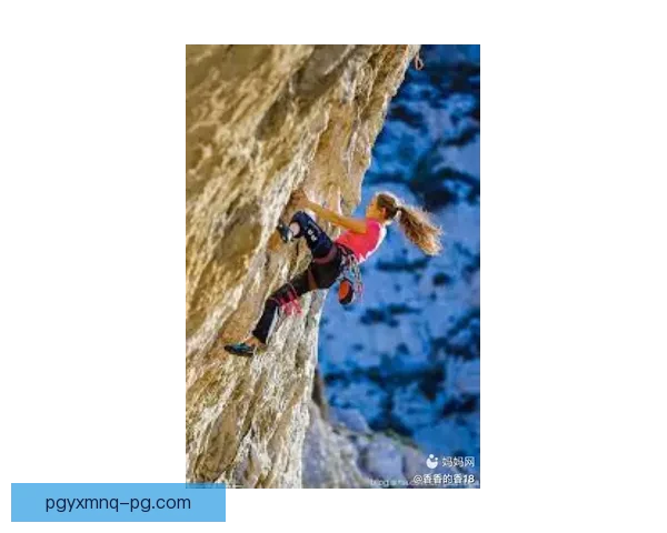 攀岩挑战赛：征战天地间，挑战极限登峰巅